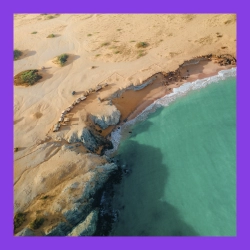 Guajira